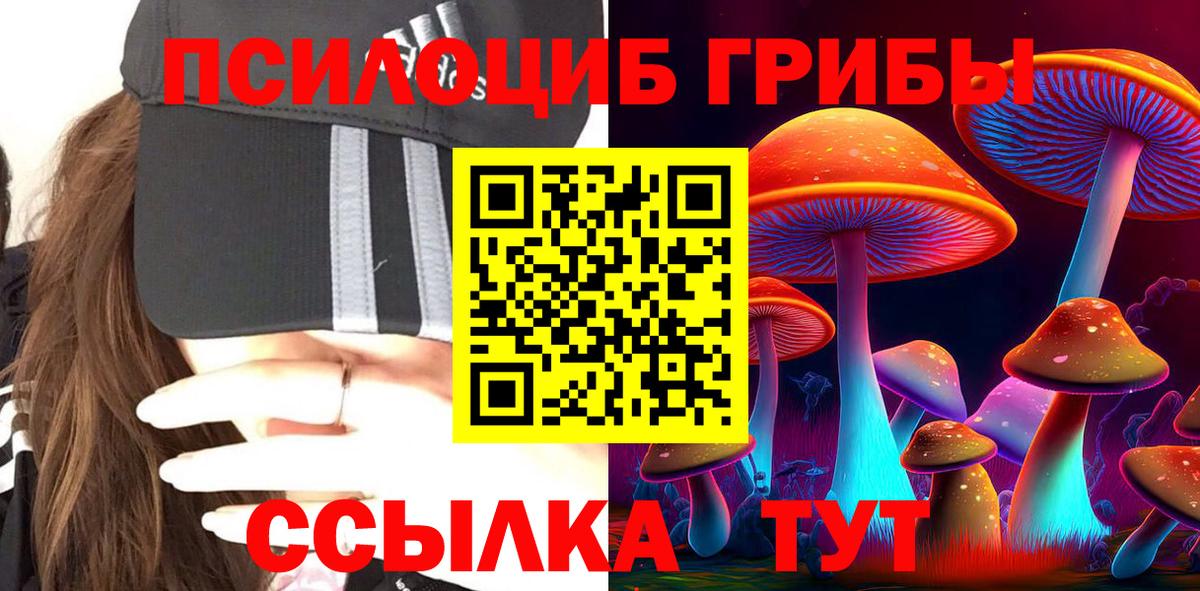 Псилоцибиновые грибы Cubensis  где найти наркотики  Алатырь  Вход с VPN 